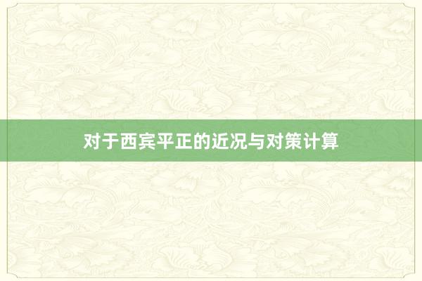 对于西宾平正的近况与对策计算